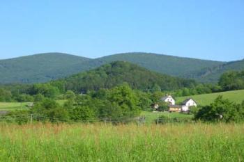 Kaltenštejn - hradní kopec (2003 ©Puffin Puffin)