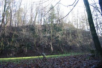 hradní jádro od západu (© D Dohňanský, 12/2015)