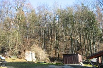 pohled na hradní kopec od jz. (© D Dohňanský, 12/2015)