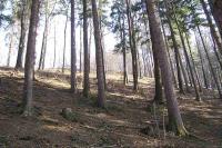 Janovice