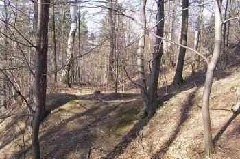  ( © Jan P. Štěpánek 03/2005)