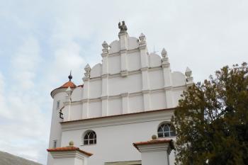  (© Milan Caha  11/2023)