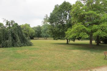 zám.park (© D Dohňanský, 07/2018)