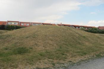 tvrziště od jihu (© D Dohňanský, 07/2018)