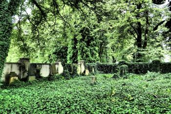 Chotěboř-židovský hřbitov (© Naďa Novotná  06/2017)