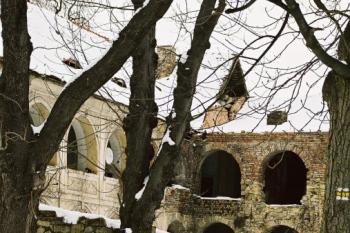 Boreč (© Hana Kubikova 12/2003)