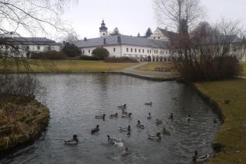  ( © Ivo Rozehnal 03/2020)