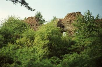 zřícenina hradu Kamýk nad Vltavou (© Vlastislav Mareček, 07/1993)