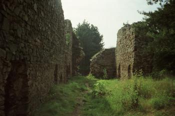 zřícenina hradu Kamýk nad Vltavou (© Vlastislav Mareček, 07/1993)