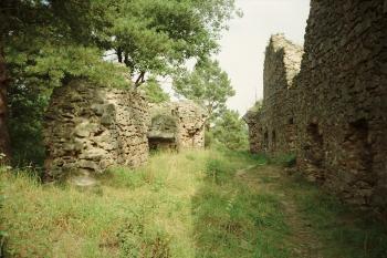 zřícenina hradu Kamýk nad Vltavou (© Vlastislav Mareček, 07/1993)