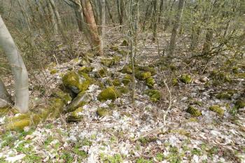 rozvalené zdivo hřbitovní kaple - márnice (© Milan Caha  11/-0001)