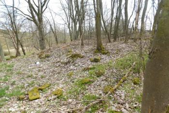 rozvalené zdivo kostela (© Milan Caha  11/-0001)