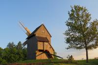 Borovnice