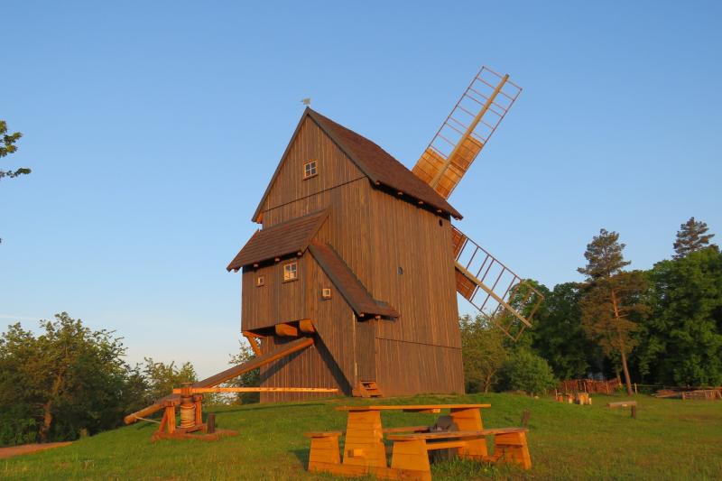 Borovnice Borovnice