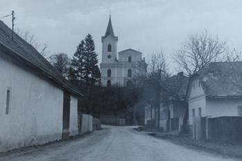 Dobová pohednice (© Luděk Vláčil  07/2023)