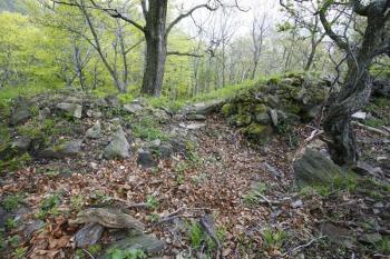 Z malé branky ve východní hradbě, známé díky kresbě A. Sedláčka, již zbylo jen málo ( © Filip Matoušek 05/2008)