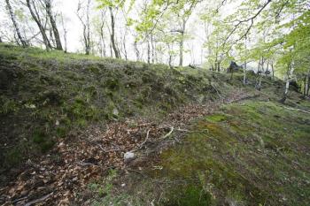 Val zpevněný zídkou, chránící hrad od severu ( © Filip Matoušek 05/2008)