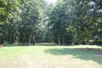 zámecký park (© Luděk Vláčil  07/2023)