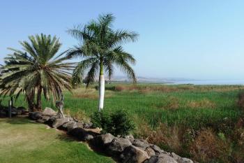  (© Pavel Semple 10/2010)