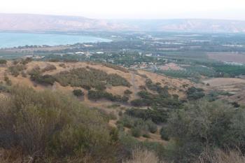  (© Pavel Semple 10/2010)