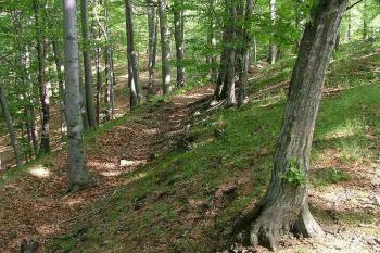 Obvodová zeď (© Lubomír Hlavatý 06/2006)