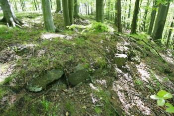 Zbytky opevnění druhého předhradí na severozápadě ( © Filip Matoušek 05/2008)
