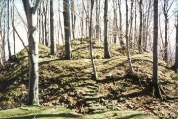  (© Vojtěch Kadaňka, 01/2010)