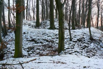 hrad u Albrechtic (© vladimír kotek, 12/2007)