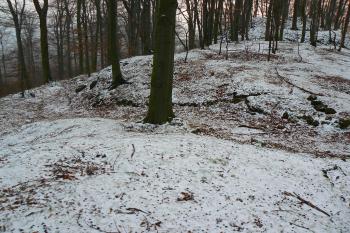 hrad u Albrechtic (© vladimír kotek, 12/2007)