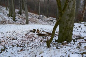 hrad u Albrechtic (© vladimír kotek, 12/2007)
