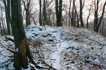 hrad u Albrechtic (© vladimír kotek, 12/2007)
