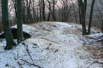 hrad u Albrechtic (© vladimír kotek, 12/2007)