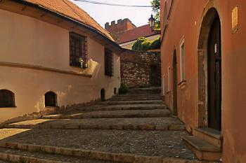  ( © Radovan Smokoň 05/2008)