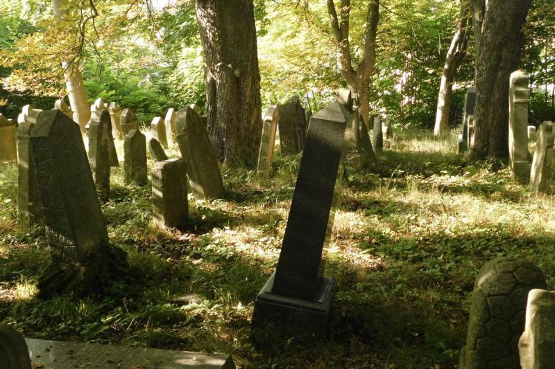 starý židovský hřbitov starý židovský hřbitov