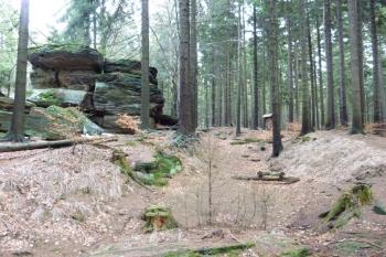 Zkamenělý zámek-pozůstatky hrádku (© Vlastislav Mareček, 01/2016)