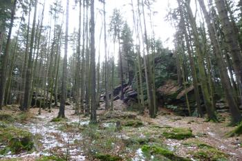 Zkamenělý zámek-pozůstatky hrádku (© Vlastislav Mareček, 01/2016)