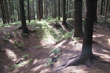 Pohled od váchodu do příkopu na jihovýchodě areálu (© Jan P. Štěpánek 08/2006)