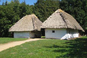  (© Zdeněk Susa, 09/2008)