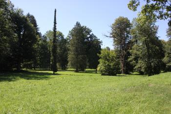 zámecký park (© Luděk Vláčil  08/2023)