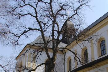 detail boční zdi (© Alena Volná, 4/2003)