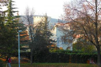  (© Milan Caha  11/2024)