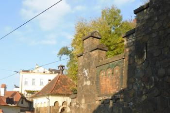  (© Milan Caha  11/2024)