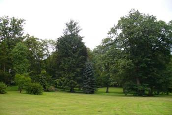 Hluboš - zámecký park (© Pavel Jarý,  11.08.2007)