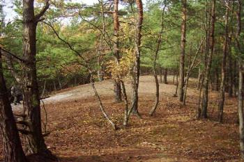 Nejvyšší bod hradního areálu (2003 ©Michal Merkl)