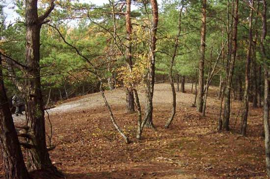 Konvalinkový vrch