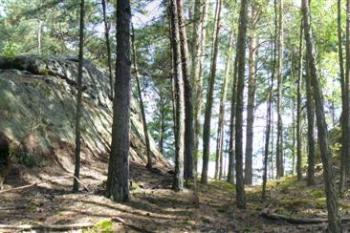 hrad na konvalinkovém vršku (© zdeněk komínek, 08/2010)