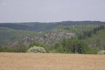  (© Michal Brůža, 04/2011)
