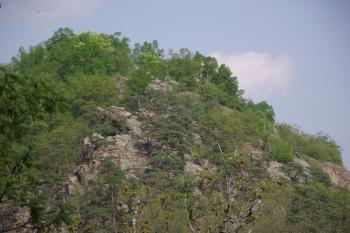 (© Michal Brůža, 04/2011)