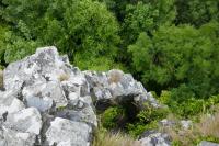 Cilgerran