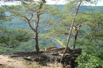 Sealsfieldův kámen (© Jiří Špaček  08/2005)